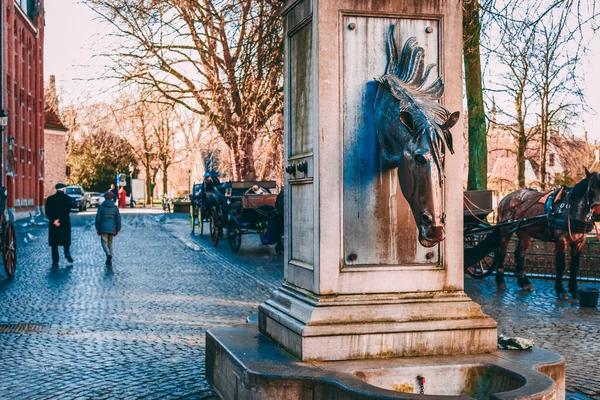 Bruges Belgio Febbraio 2014 Antica Fontana Forma Testa Cavallo Sullo — Foto Stock