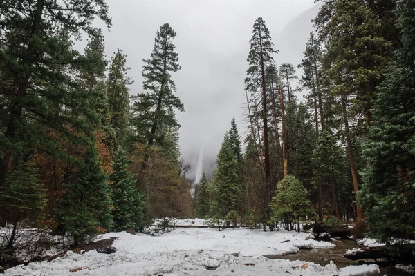 Egy Yosemite Esik Körül Fák Alatt Felhős Yosemite Nemzeti Park — Stock Fotó