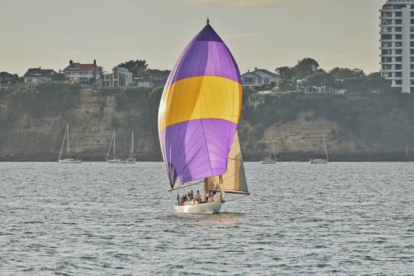 Auckland Nový Zéland Března 2019 Auckland Nový Zéland Března 2019 — Stock fotografie