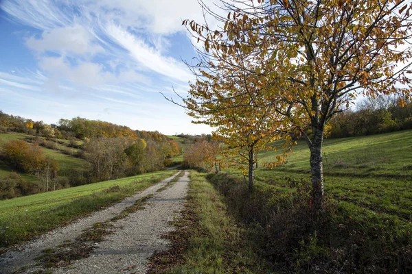 Hermoso Paisaje Capturado Durante Otoño —  Fotos de Stock