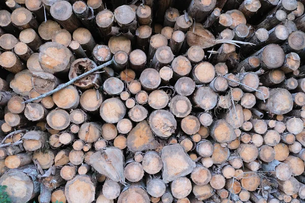 Closeup Shot Stack Firewood Prepared Cold Winter Season — Fotografia de Stock