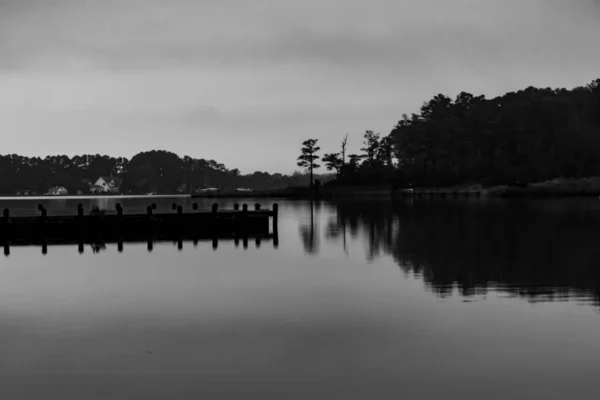 湖景灰蒙蒙的照片 湖面上有平静的水和森林 — 图库照片