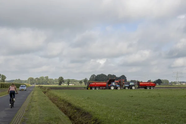 Hoge Hexel Niderlandy Sierpnia 2020 Rolnicy Zbierający Ziemniaki Holenderskiej Wsi — Zdjęcie stockowe