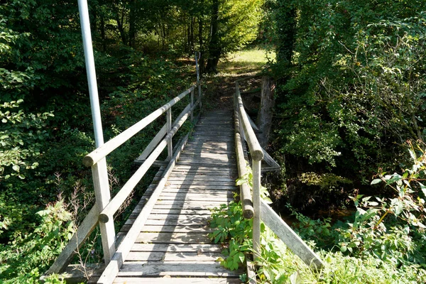 河流上一座木头桥进入森林的景象 — 图库照片