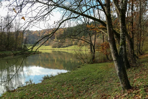 Nahaufnahme Eines Sees Wald — Stockfoto