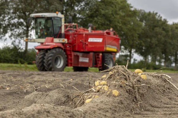 オランダの巨大なヒール 2020年8月30日 農地の土壌で重機のジャガイモ収穫機と畑のジャガイモは作物を収集する準備ができています 農業秋の季節のコンセプト — ストック写真