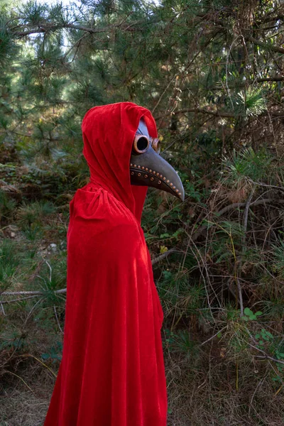 Plan Vertical Une Personne Portant Manteau Rouge Une Cagoule Masque — Photo