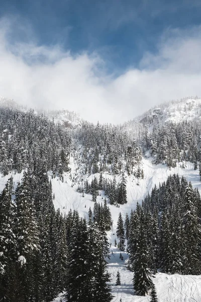 Uma Bela Paisagem Inverno Com Pistas Esqui Washington Eua — Fotografia de Stock