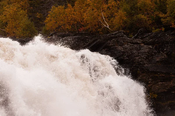 Una Hermosa Toma Río Bosque — Foto de Stock