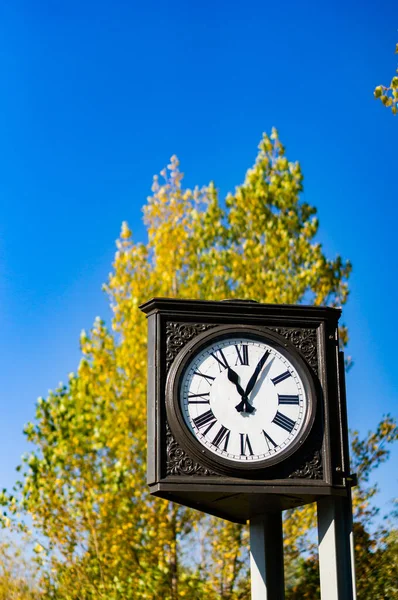 Colpo Verticale Orologio All Aperto Tubo Circondato Alberi Sotto Luce — Foto Stock