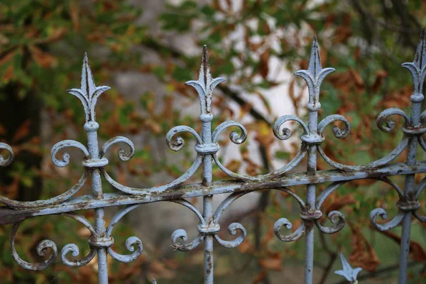 Een Close Shot Van Metalen Krullend Hek Het Park — Stockfoto