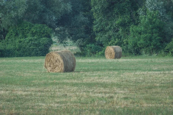 Beautiful View Hay Bales Field — Stock Photo, Image
