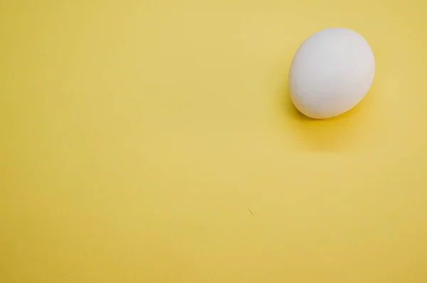 Eine Nahaufnahme Eines Weißen Eies — Stockfoto