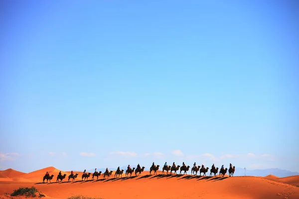 Przyczepa Kempingowa Wielbłąda Pustyni Xinjiang Chiny — Zdjęcie stockowe
