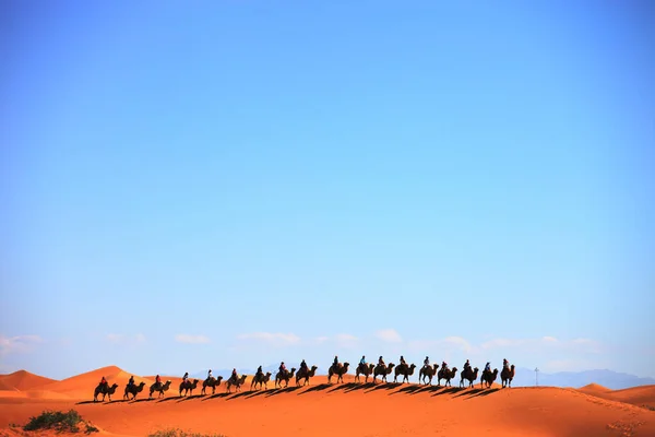 Çin Deki Xinjiang Çölünde Bir Deve Kervanı — Stok fotoğraf