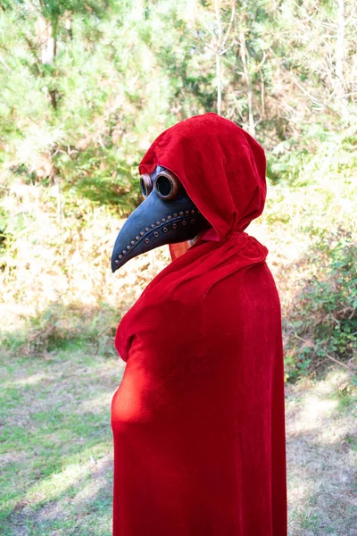 Disparo Vertical Una Persona Con Una Capa Roja Capucha Máscara —  Fotos de Stock