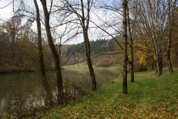 Ein Park Mit Trockenen Bäumen Der Nähe Eines Teiches — Stockfoto