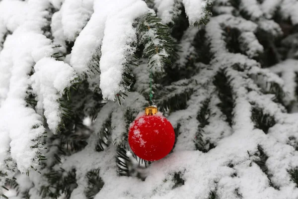 Christmas Still Life Beautiful Balls — ストック写真