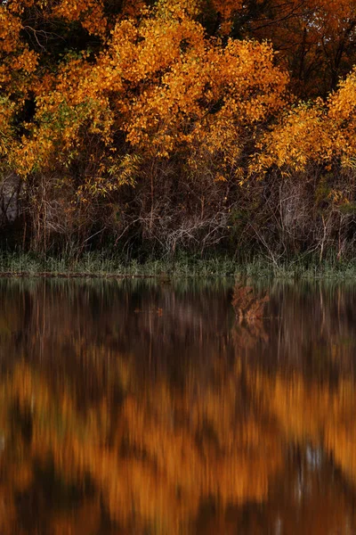 Pionowe Ujęcie Jeziora Jesiennym Lesie Xinjiang Chiny — Zdjęcie stockowe