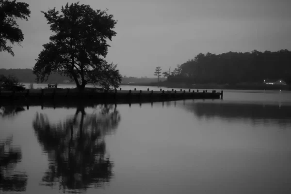 선명하고 스러운 배경을 나무들이 호수의 실루엣 — 스톡 사진