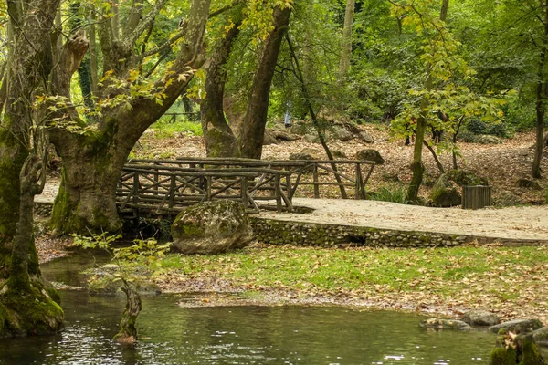 Baharda Derenin Üzerinde Küçük Bir Köprüsü Olan Güzel Bir Park — Stok fotoğraf