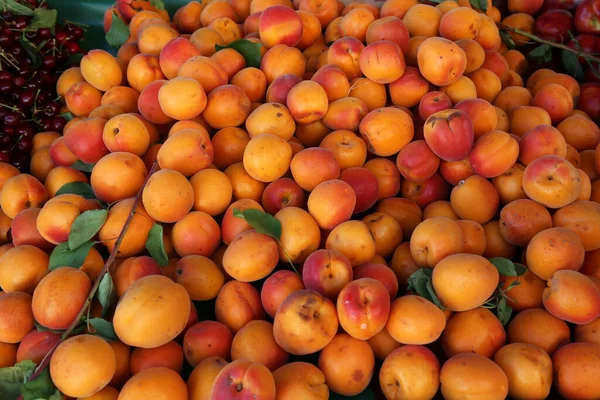 一堆新鲜成熟的杏仁 — 图库照片