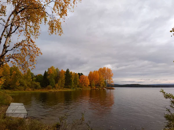 Прекрасний Знімок Яскравих Кольорів Осені Парку Біля Озера — стокове фото