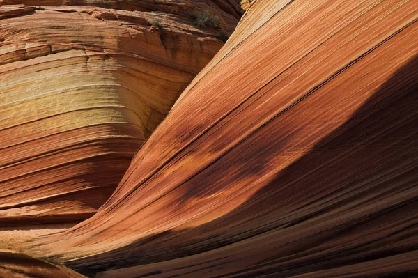 Arizona Abd Deki Dalga Kumtaşı Kaya Oluşumları — Stok fotoğraf
