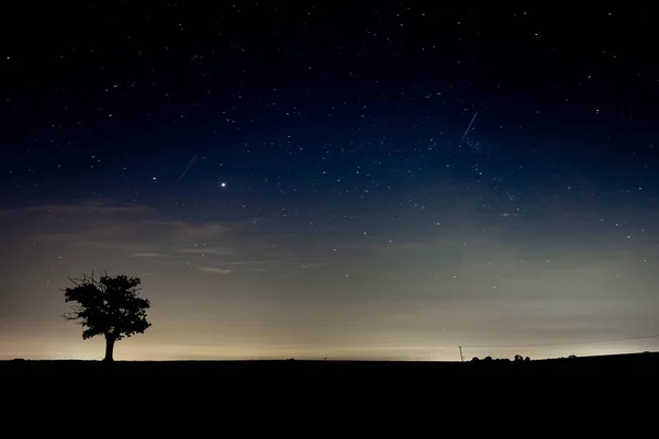 Una Hermosa Vista Una Noche Estrellada Con Una Silueta Árbol — Foto de Stock