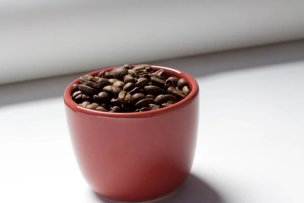 Closeup Shot Fresh Coffee Beans Small Color Cup — Foto de Stock