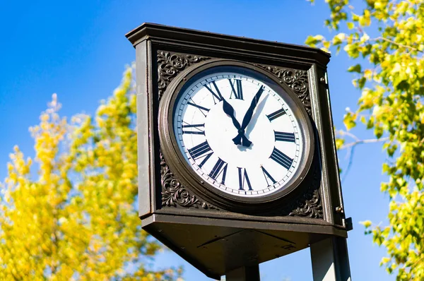 Vue Angle Bas Une Horloge Extérieure Sur Tuyau Dans Parc — Photo