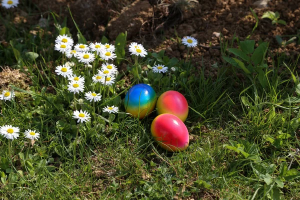 自然環境の中で描かれた卵の美しいクローズアップ高角度ショット イースターの概念 — ストック写真