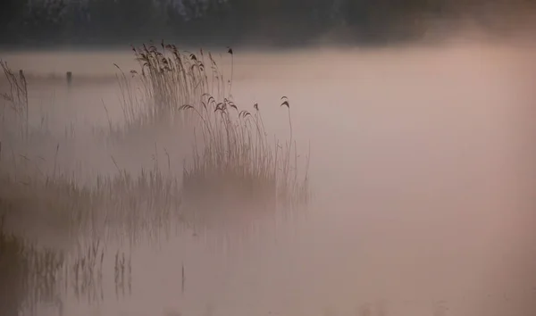 Lake Completely Covered Fog Evening — Stock Photo, Image