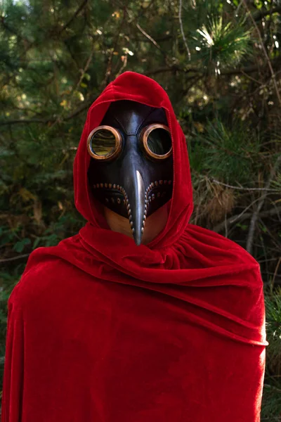 Disparo Vertical Una Persona Con Una Capa Roja Capucha Máscara —  Fotos de Stock