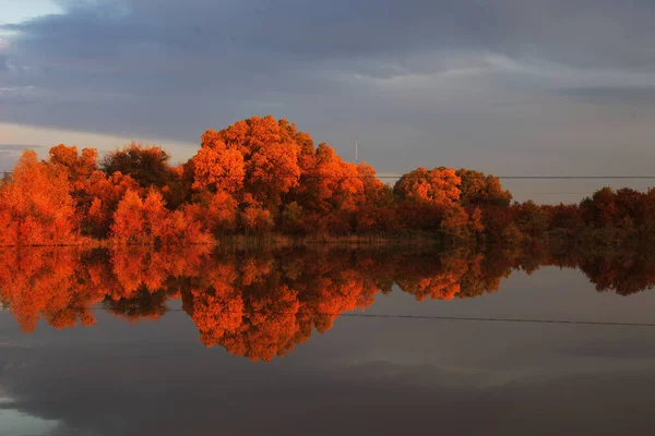 Lake Autumn Forest Xinjiang China — Stock fotografie