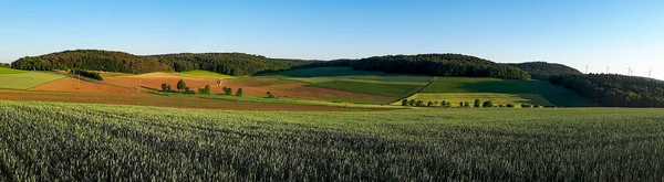 Een Panoramische Opname Van Een Veld Een Landelijk Gebied — Stockfoto