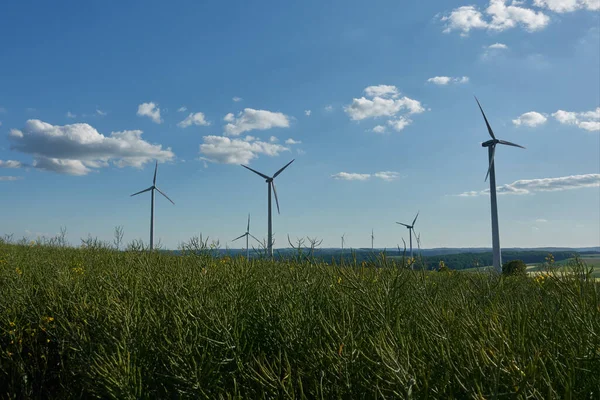 Pohled Zelené Ječné Pole Větrnými Turbínami — Stock fotografie