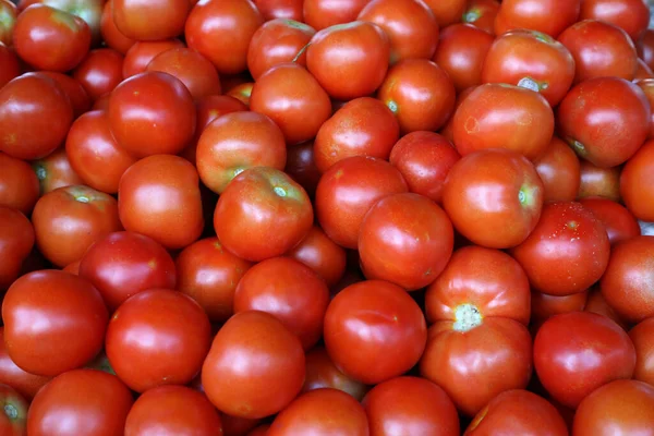 Primer Plano Montón Tomates Maduros Frescos —  Fotos de Stock