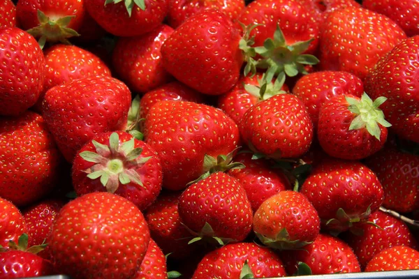 Beautiful Shot Fresh Strawberries Sale — Stock Photo, Image