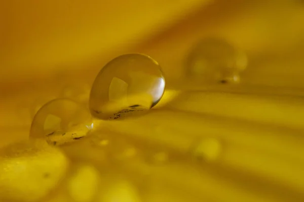 Macro Shot Water Droplets Mustard Yellow Background — Stock Photo, Image