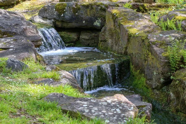 Beau Cliché Une Cascade Dans Une Forêt — Photo