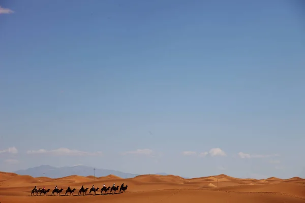 Een Kameel Karavaan Een Woestijn Xinjiang China — Stockfoto