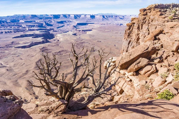Uma Foto Alto Ângulo Parque Nacional Canyonlands Utah Eua — Fotografia de Stock