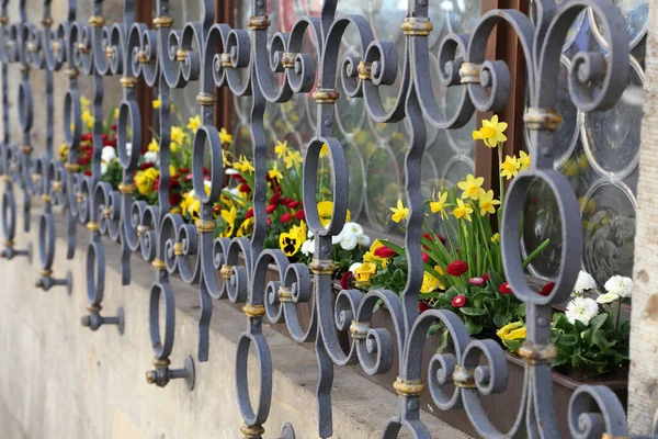 Belo Close Tiro Foco Vasos Flores Atrás Uma Grade Janela — Fotografia de Stock