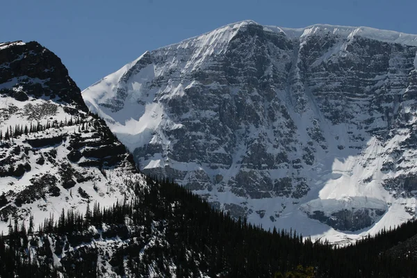 Mountains Jasper National Park Canada —  Fotos de Stock