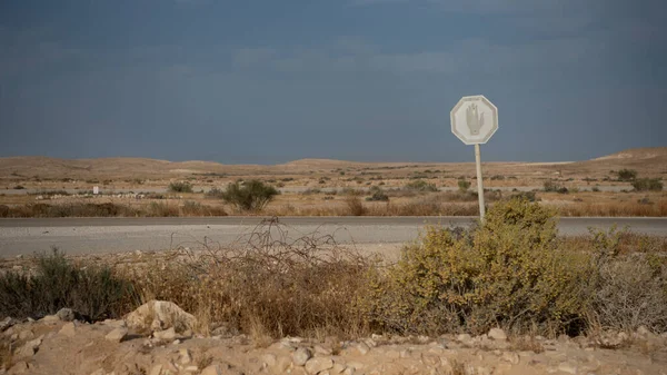 Панорама Брукованої Дороги Пролягає Через Пустелю Негев Ізраїль — стокове фото