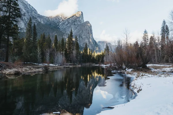 Lugn Sjö Omgiven Träd Yosemite National Park Kalifornien Usa — Stockfoto