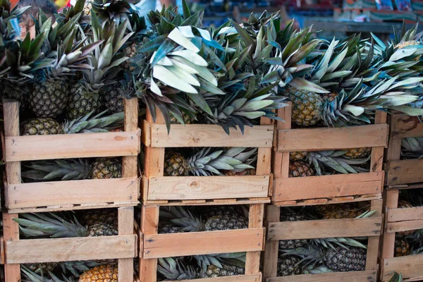 Närbild Ananas Behållare Marknad Solljuset — Stockfoto