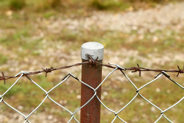 Selektive Nahaufnahme Eines Stahldrahtgitterzauns Garten — Stockfoto