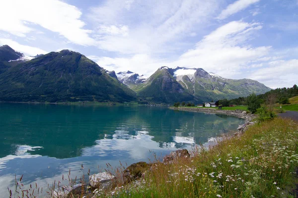 노르웨이의 초목으로 둘러싸인 호수의 — 스톡 사진